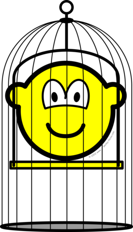 Gekooide buddy icon