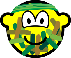 Gecamoufleerde buddy icon