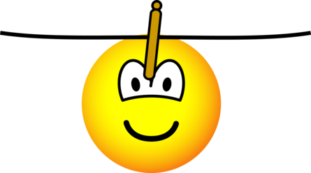 Waslijn emoticon